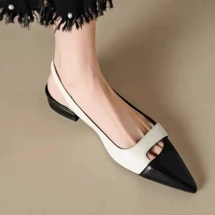Vittoria | Bailarinas Elegantes